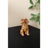 Tasarloxi Mini Golden Köpek Dekoratif Biblo