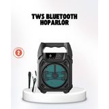 Taşınabilir 6.5” Bluetooth Hoparlör USB Tf Kart Mikrofonlu Şarjlı Sistem - Renkli