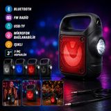 Taşınabilir Bluetooth Hoparlör FM Radyo USB/TF Işıklı El Feneri Mikrofon Bağlanabilir Ses Bombası