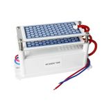 Taşınabilir Seramik Ozon Jeneratörü İki Yapraklı Hava Temizleme Cihazı Sterilizasyon Aktif Oksijen Arıtma Cihazı 220v 10g