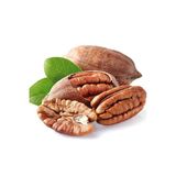taşkar peyzaj CEVİZ FİDANI ( 70-100 CM ) AÇIK KÖKLÜ PİKAN