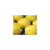 Taşkar Peyzaj Limon Ayva Fidanı ( Aşılı - 2 Yaş) - Tüplü - 100-120 Cm