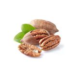 Taşkar Peyzaj Pikan Ceviz Fidanı ( 40-80 Cm)Tüplü