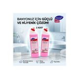 Taski Diversey 2 Li x 750 ml Clonet Extra W41 Banyo Temizleyici - Kireç Çözücü