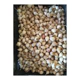 Taşköprü Sarımsağı Mürdük (tekdiş ) Sarımsak 1kg