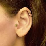 Taşlı Yunus Balığı Tragus Küpe
