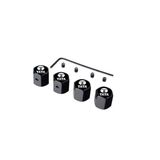 Tata Vista Kilitli Metal Sibop Kapağı (İthal Ürün)