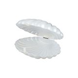 TATLI GÜNLER KUTU İSTİRİDYE İNCİ PLASTİK SEDEF