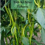 Tatlı Kıl Biber Tohumu 1 Paket (5 Gr=700+ Adet) Tatlı Biber Tohumu