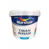 TAVAN BOYASI ORTA 6 L (10 KG)