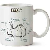 Tavşan Anatomisi Anatomy of A Rabbit Baskılı Kupa