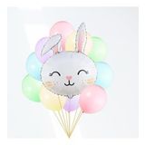 Tavşan Kafası Karışık Makaron Balon Seti
