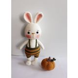 Tavşan Sunny ve Bal Kabağı Amigurumi Organik Oyuncak