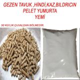 Tavuk Yumurta Yemi 20 Kg