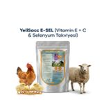 Tavuklar Ve küçükbaş Hayvanlar İçin Vitamin Takviyesi –YILSAC E-SEL+ C 100 gr X 1 Adet AFS25252552