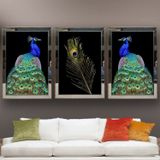 Tavus Kuşu Temalı Aynalı Çerçeveli 3 lü Kanvas Tablo Seti 150x70 cm SETS0001