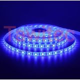 Tawitec 3 Çipli Silikonlu Şerit LED Mavi Renk 12 Volt Dış Mekan 5050 3 Chip - 5 m