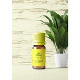 Tayf Bitkisel Uçucu Limon Yağı 10 ml