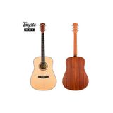 Tayste Ts20D-41 Akustik Gitar