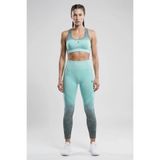 Tayt Mint Yeşili Degrade Dikişsiz Seamless Spor Tayt Mint Yeşil S