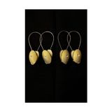 TAYVİN Perde Mandalı Gold Oval 4lü Paket Mıknatıslı Perde Toplayıcı Perde Aksesuar