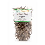 taze zencefil natural organic Yoğurt Otu