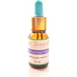 Taze Zencefil Palmarosa Yağı - 10 ml