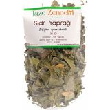 Taze Zencefil Sidr Yaprağı - Bitki Çayı