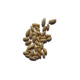 TAZEM KURUYEMİŞ Dolmalık Yer Fıstığı 500 G