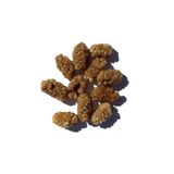 TAZEM KURUYEMİŞ Dut Kurusu L2 500 G