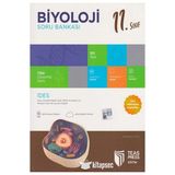 Teas Press 11. Sınıf Biyoloji Soru Bankası