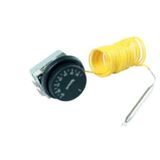 Tecase Gazlı Termostat 0-40°