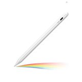Techmaster iOS Android Windows ile Uyumlu Tablet Telefon iPad Yazı Çizim Kalemi + Yedek Uç