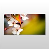 Technopa Bahar ve Çiçekler 160x80 cm Kanvas Tablo