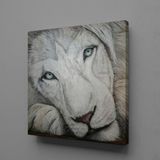 Technopa Beyaz Aslan 60x60 cm Kanvas Tablo