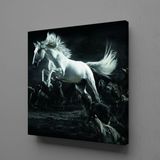 Technopa Beyaz At 130x130 cm Kanvas Tablo