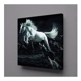 Technopa Beyaz At 70x70 cm Kanvas Tablo