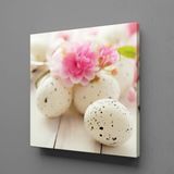 Technopa Bıldırcın Yumurtaları 25x25 cm Kanvas Tablo