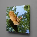 Technopa Ceylan 60x60 cm Kanvas Tablo