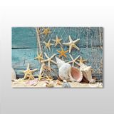 Technopa Deniz Yıldızı ve Deniz Kabuğu 30x20 cm Kanvas Tablo