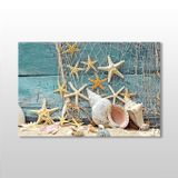 Technopa Deniz Yıldızı ve Deniz Kabuğu 45x30 cm Kanvas Tablo