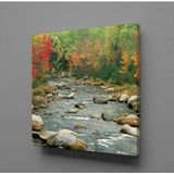 Technopa Deredeki Taşlar 50x50 cm Kanvas Tablo