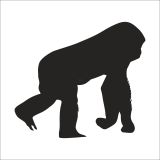 Technopa DERSTV1003 100cm Maymun Folyo Sticker