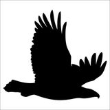 Technopa DERSTV748 60cm Kartal Folyo Sticker