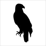 Technopa DERSTV751 50cm Kartal Folyo Sticker