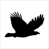 Technopa DERSTV754 200cm Kartal Folyo Sticker
