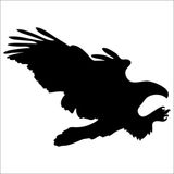 Technopa DERSTV755 160cm Kartal Folyo Sticker