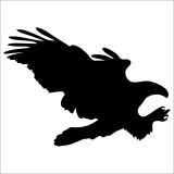 Technopa DERSTV755 80cm Kartal Folyo Sticker