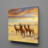 Technopa Geyikler 70x70 cm Kanvas Tablo