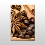 Technopa Kahve Çekirdeği ve Tarçın 120X60 cm Kanvas Tablo